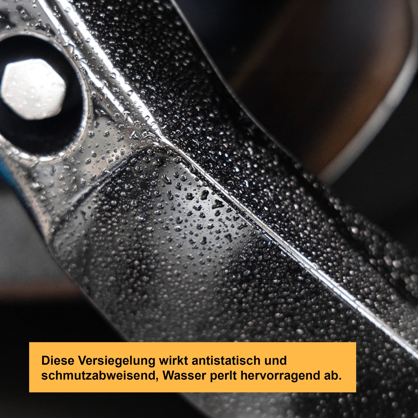 Car Detailer with Sealant Private Label