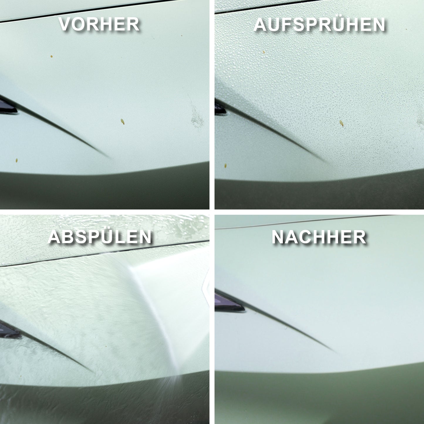 Auto Insektenentferner Private Label